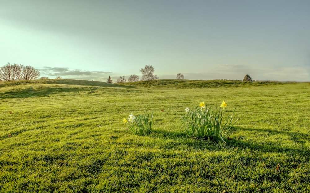 点击大图看下一张：清新优美的草原风景图片桌面壁纸