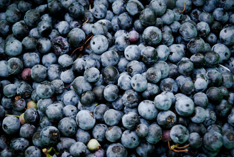 点击大图看下一张：一组美味好吃的蓝莓图片