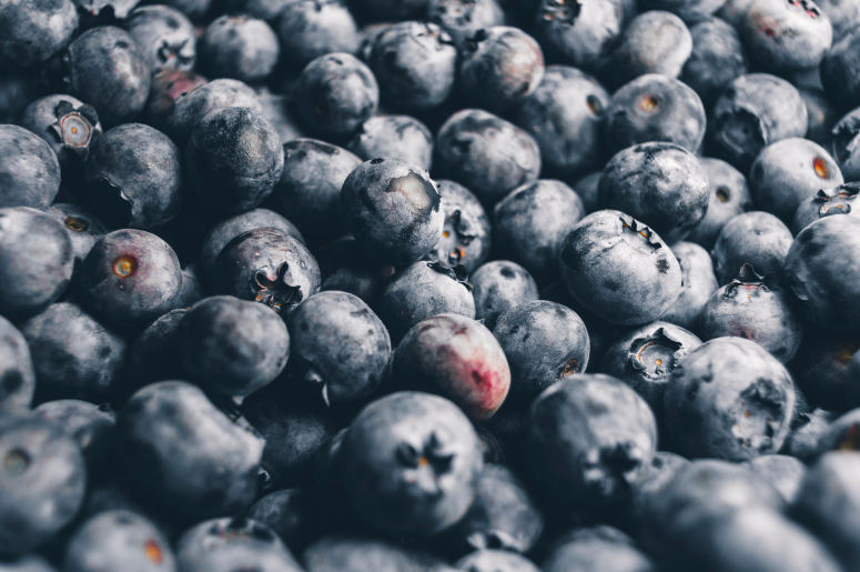 点击大图看下一张：一组营养价值高的蓝莓图片
