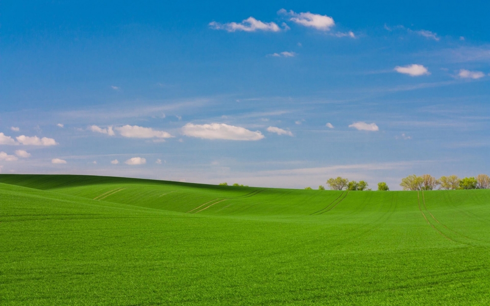 点击大图看下一张：清新优美的草原风景图片