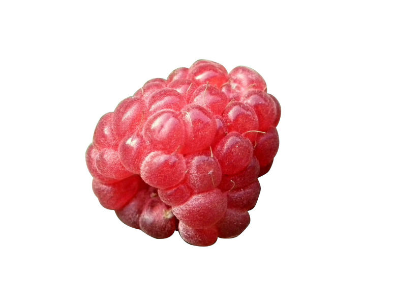 点击大图看下一张：一组酸甜美味的树莓图片欣赏