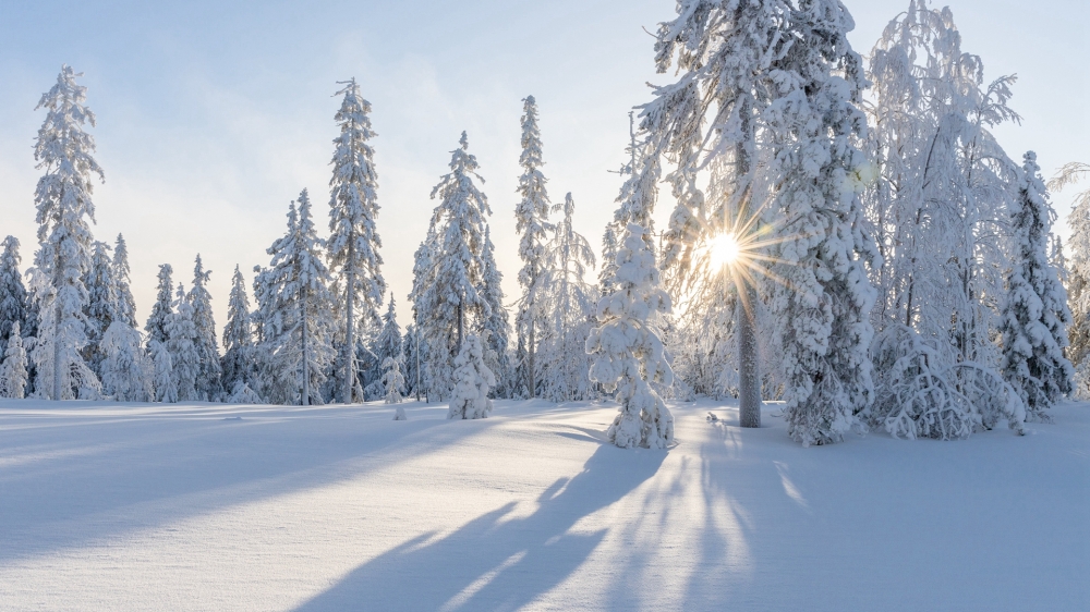 点击大图看下一张：银装素裹的雪景风光图片