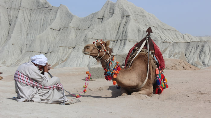 点击大图看下一张：沙漠中的骆驼图片欣赏