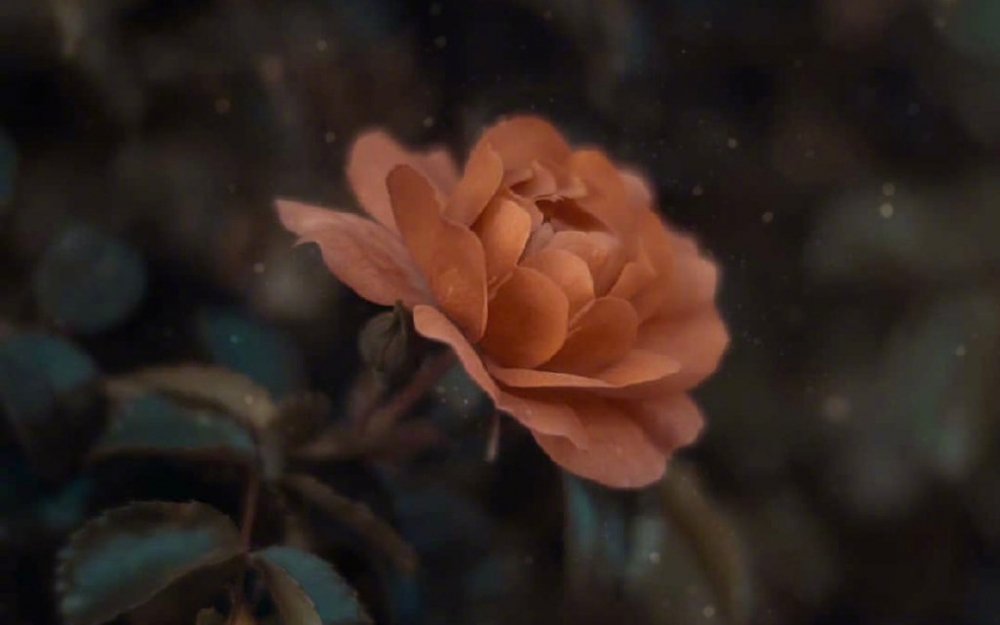 点击大图看下一张：小清新超美花卉图片桌面壁纸