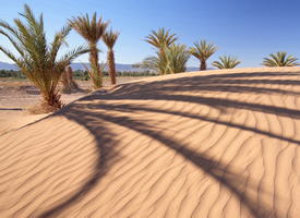沙漠唯美自然风光高清桌面壁纸