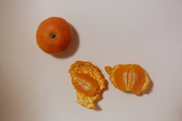 点击大图看下一张：橘生淮南则为橘生于淮北则为枳