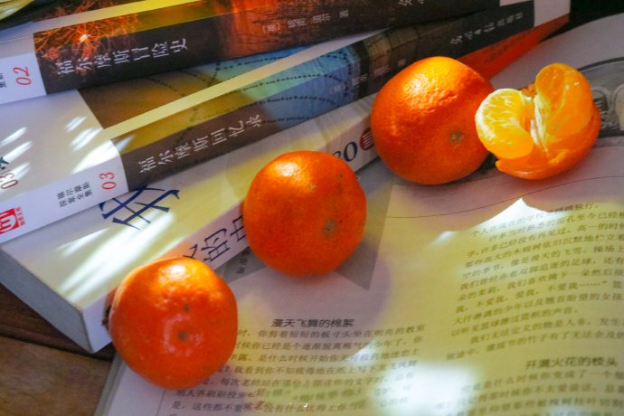 点击大图看下一张：一组阳光下的橘子图片