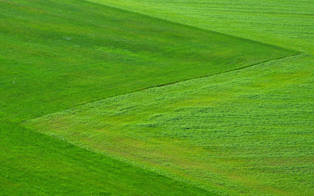 点击大图看下一张：优美大自然草原风光高清桌面壁纸
