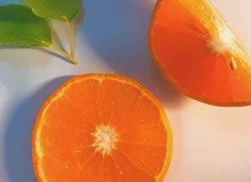 一组超红的橙子果粒图片