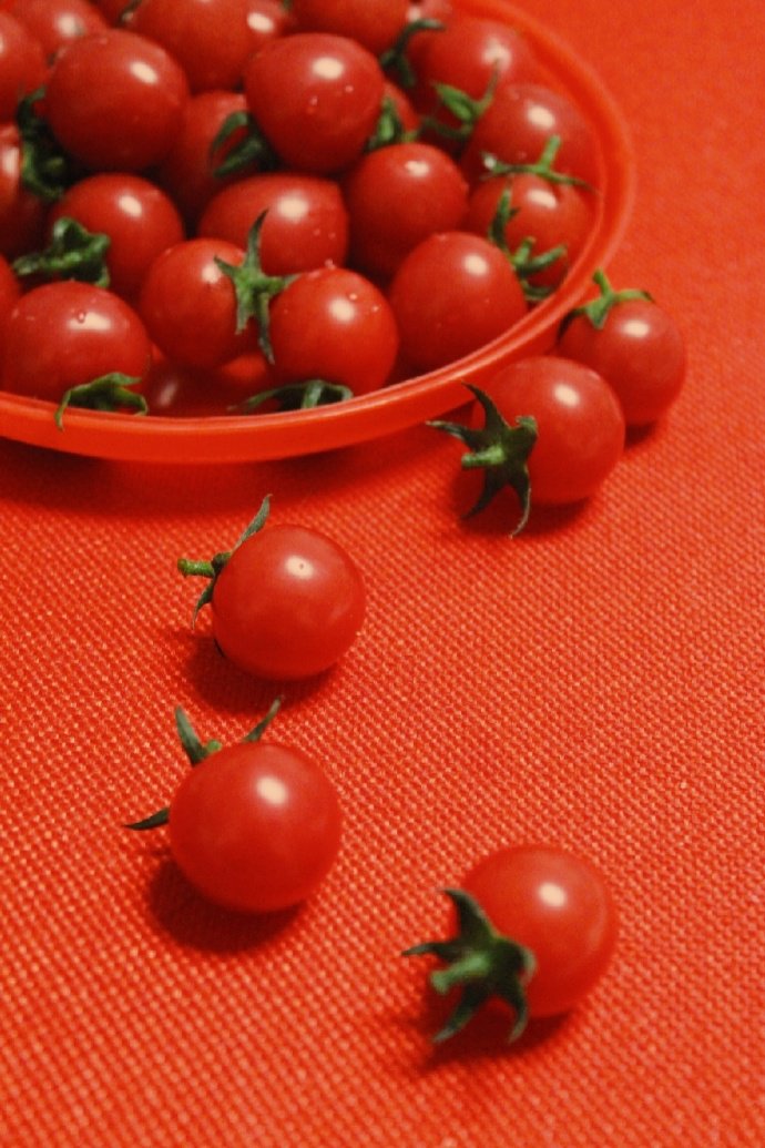 点击大图看下一张：一组红红美味的小番茄图片