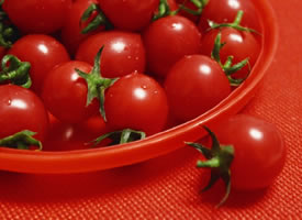 一组红红美味的小番茄图片