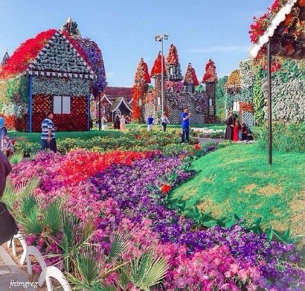 点击大图看下一张：世界最大的花园——迪拜奇迹花园