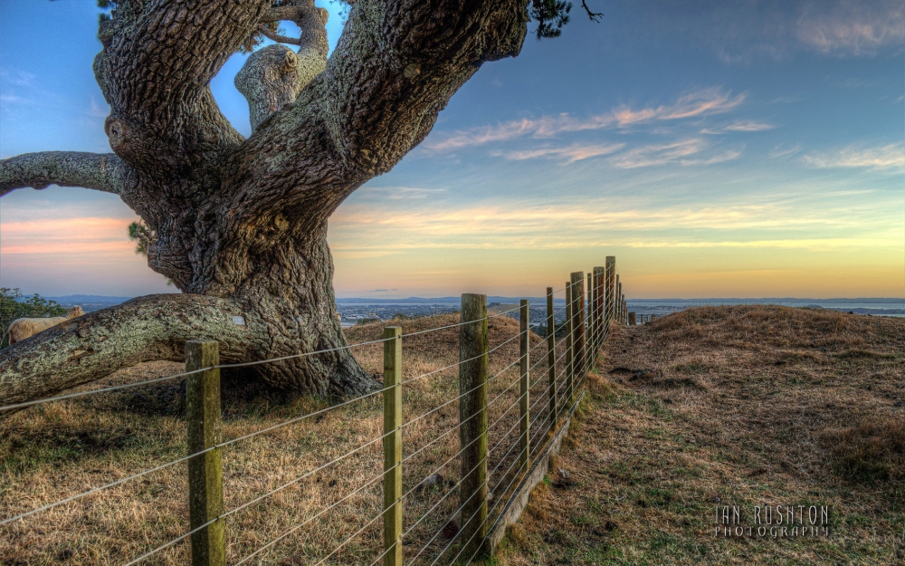 点击大图看下一张:新西兰田园风光风景图片