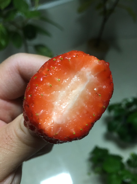点击大图看下一张：一组新鲜唯美的小草莓图片