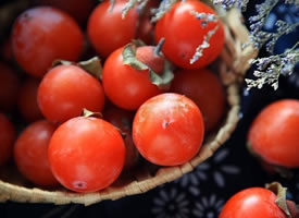一组红红甜甜的柿子图片