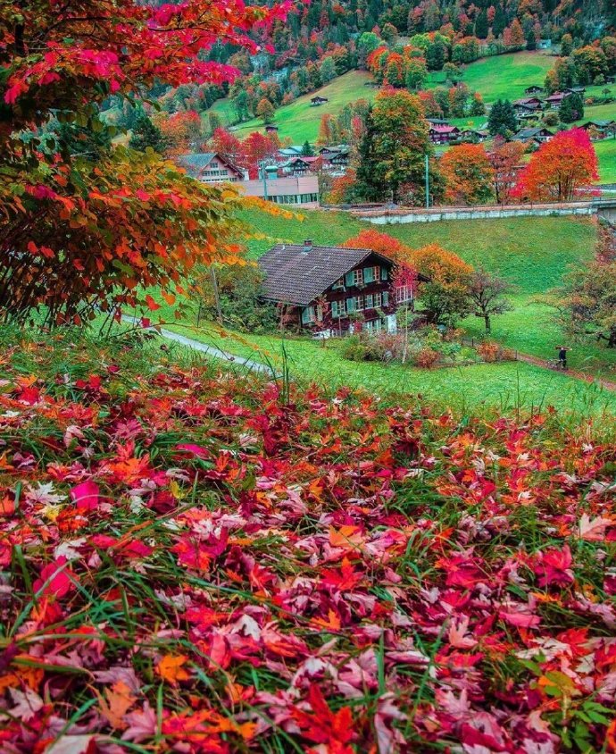 点击大图看下一张：瑞士，美的无暇，美的纯粹