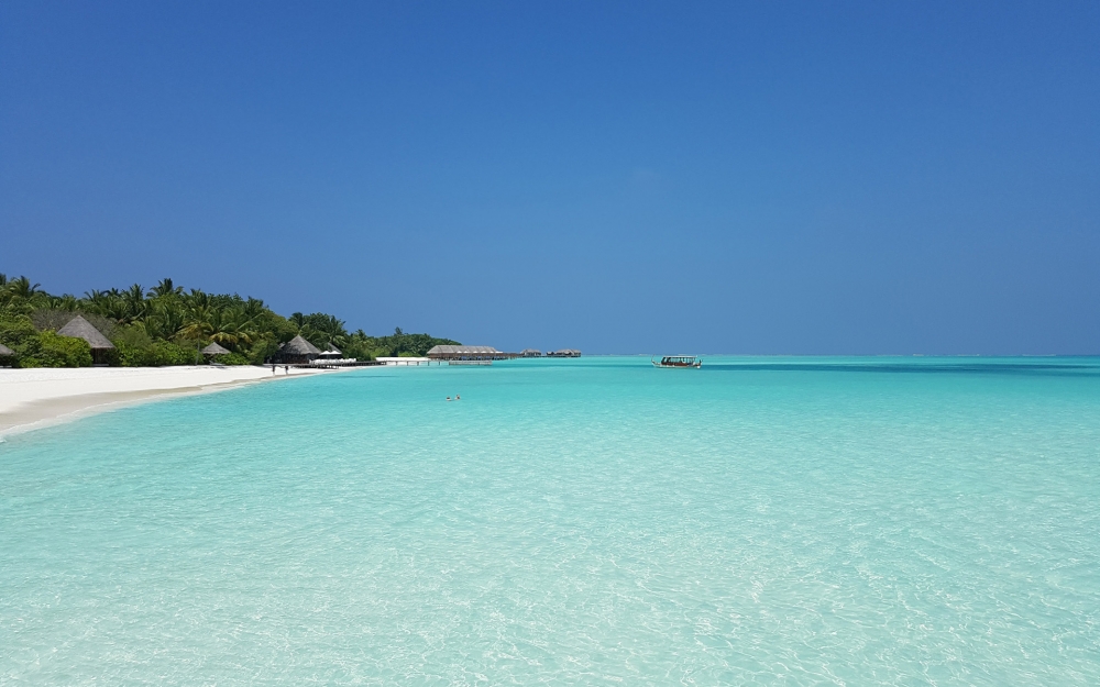 点击大图看下一张：马尔代夫唯美海岸风景桌面壁纸
