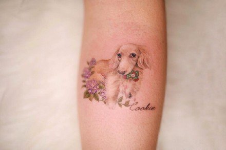 点击大图看下一张：一组可爱的小猫小狗纹身图案