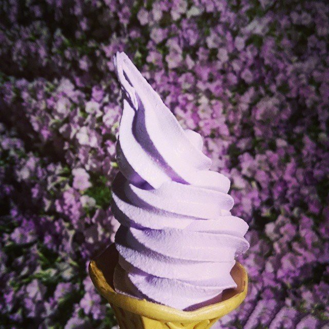 点击大图看下一张：一组好看的紫色冰淇淋图片
