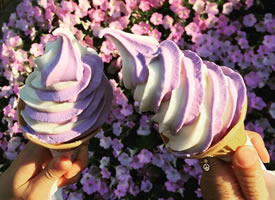 一组好看的紫色冰淇淋图片