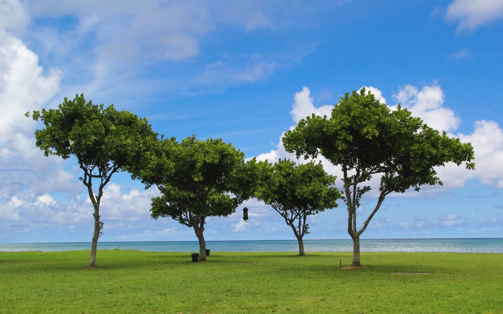 点击大图看下一张：夏威夷唯美大海风景桌面壁纸