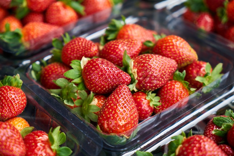 点击大图看下一张：新鲜多汁的草莓实拍图片