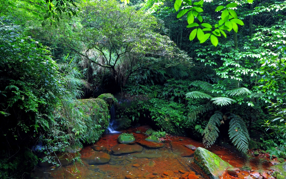 点击大图看下一张：贵州赤水天柱峰佛光岩风景图片