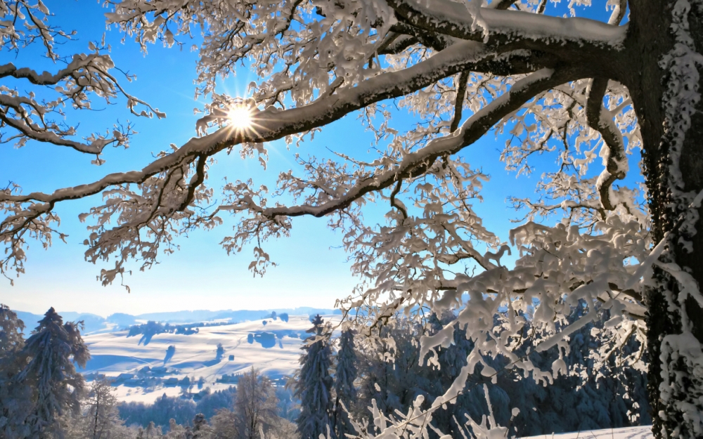 点击大图看下一张：蓝天白雪风景桌面壁纸图片