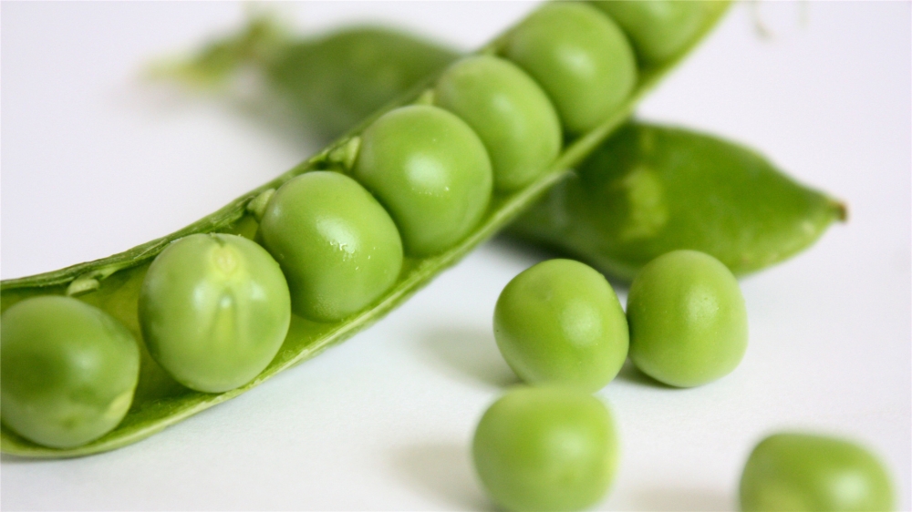 点击大图看下一张：绿色的豌豆高清图片欣赏