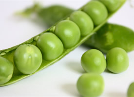 绿色的豌豆高清图片欣赏
