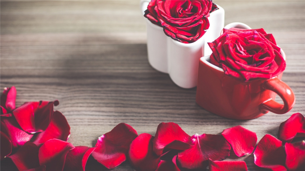 点击大图看下一张：红玫瑰微距唯美高清桌面壁纸