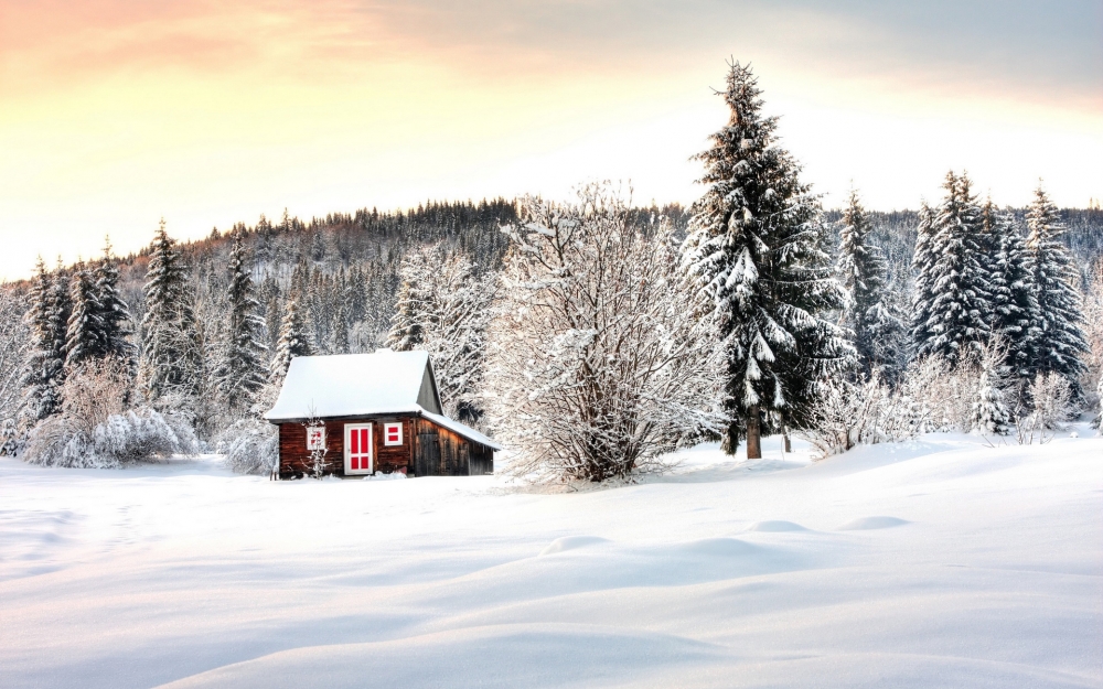 点击大图看下一张：风雪中的木屋高清图片