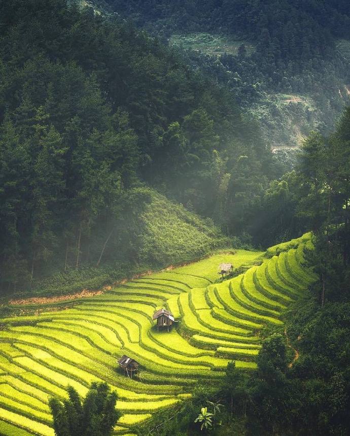 点击大图看下一张：山水梯田间的越南，藏着一片片绿色的月半弯