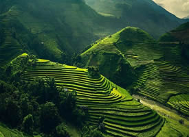 山水梯田间的越南，藏着一片片绿色的月半弯