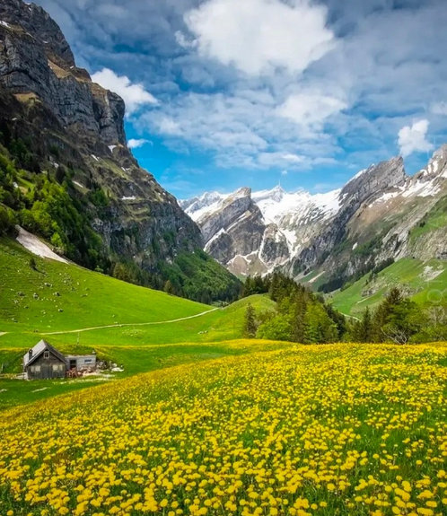 点击大图看下一张：瑞士的精华，浓缩在阿尔卑斯的雪山与湖泊