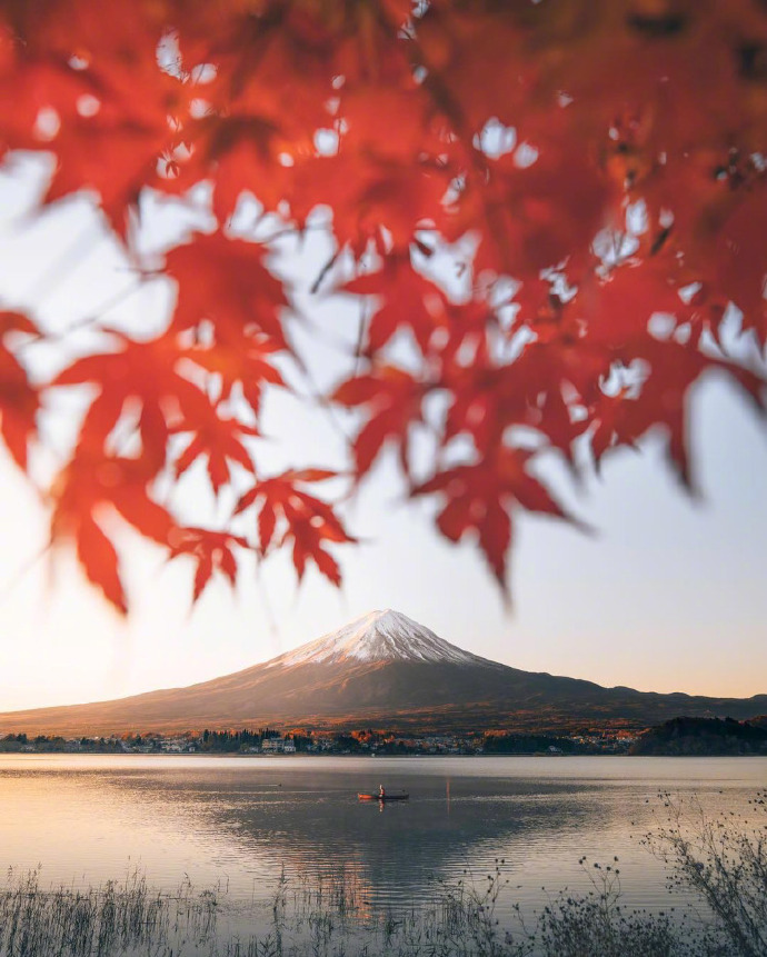 点击大图看下一张：红枫季，日本秋天正确的打开方式