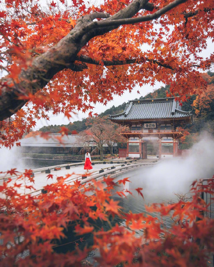 点击大图看下一张：红枫季，日本秋天正确的打开方式