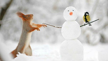 点击大图看下一张：堆雪人的小松鼠图片欣赏
