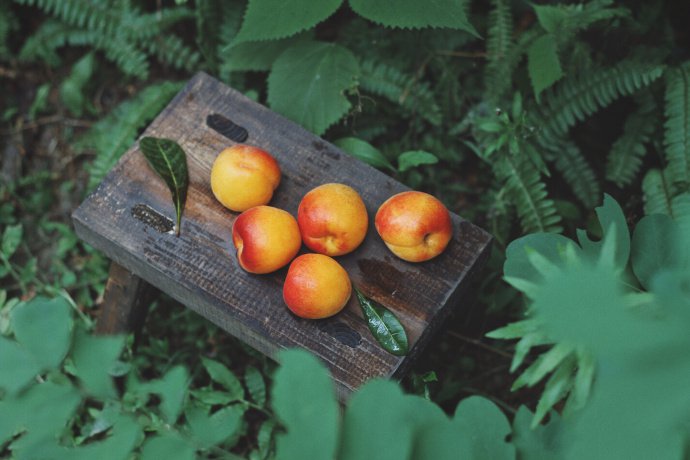 点击大图看下一张：一组红红脆脆的桃子图片