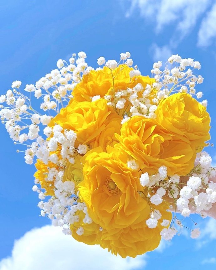 点击大图看下一张：一组超唯美的黄色花束图片