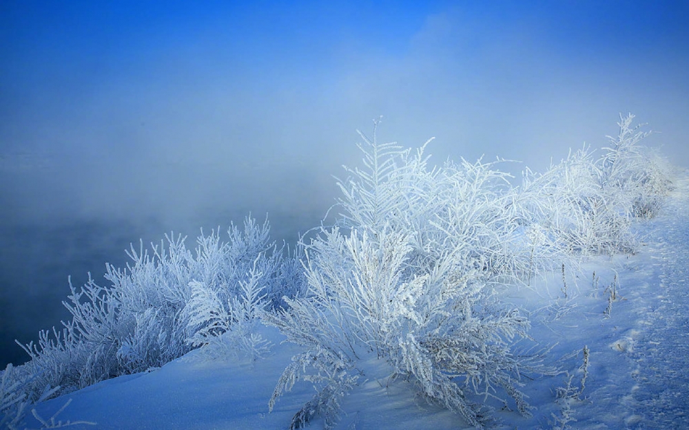 点击大图看下一张：雾凇岛唯美雪景图片桌面壁纸