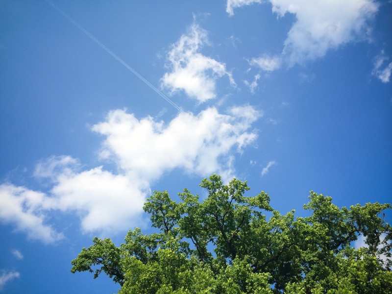 点击大图看下一张：唯美蓝天白云风景图片