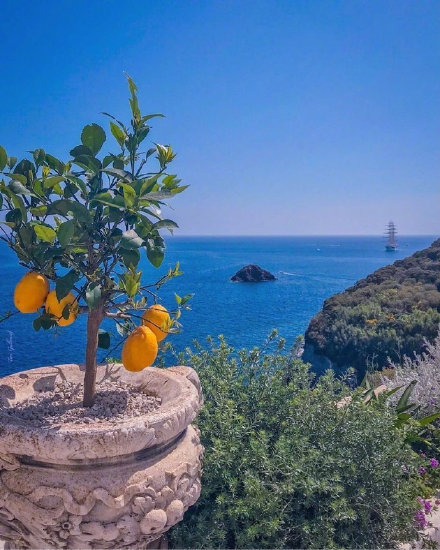 点击大图看下一张：意大利蓬扎岛，这真是个神仙国度，美的地方真多
