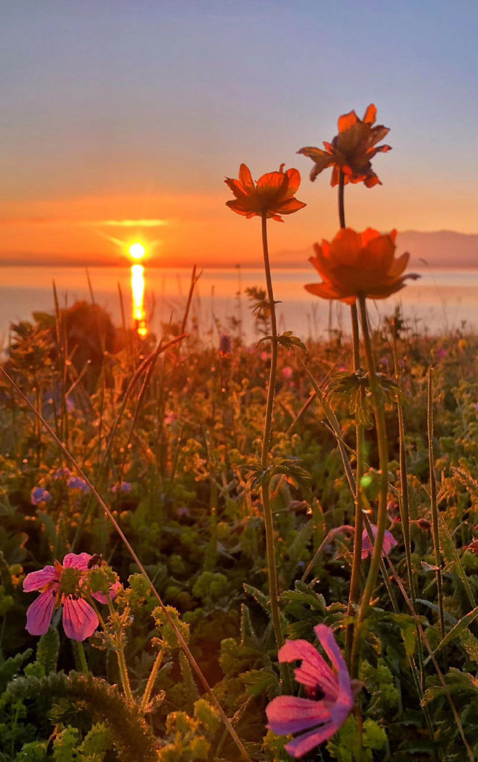 点击大图看下一张：赛里木湖的清晨，温暖的美感