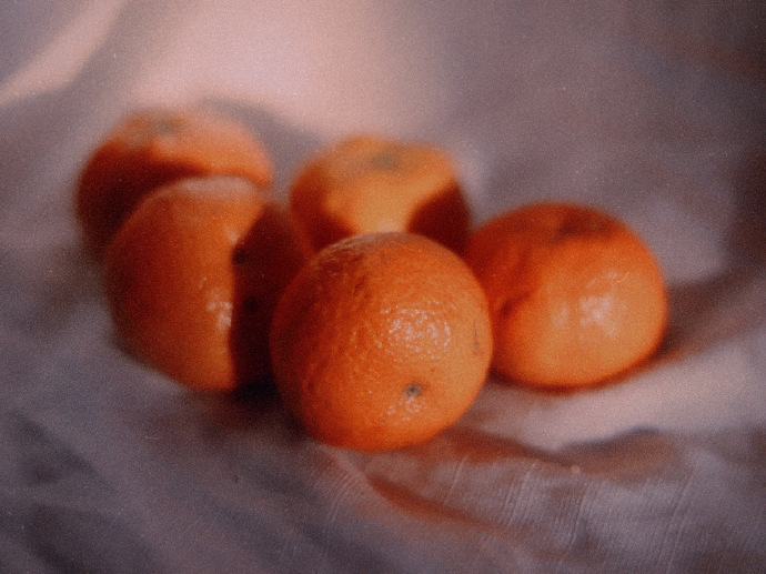 点击大图看下一张：想把橘子的甜味，分享给你们
