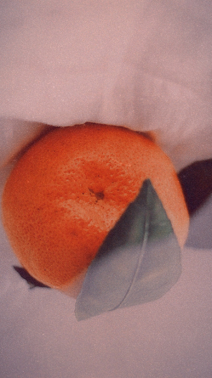 点击大图看下一张：一组甜甜的橘子图片