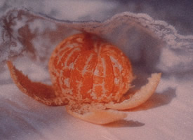 一组甜甜的橘子图片