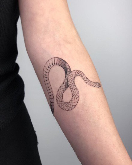 点击大图看下一张：一组蛇和花纹身图案欣赏