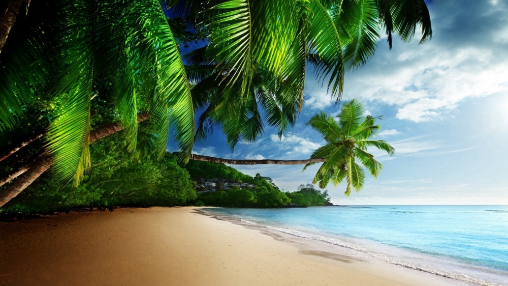 点击大图看下一张：热带海滨唯美风景桌面壁纸
