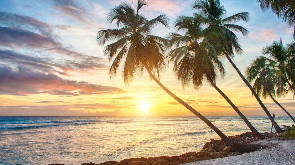 点击大图看下一张：热带海滨唯美风景桌面壁纸